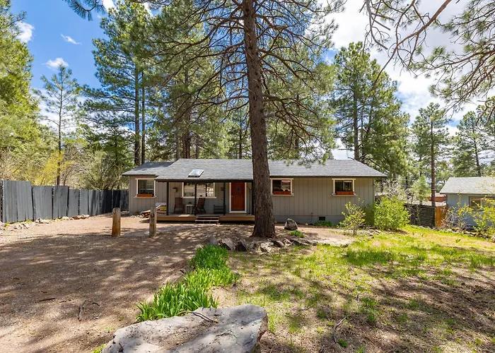 Outdoor Oasis, Hottub, Fenced, Firepit & Pinetrees Mountainaire